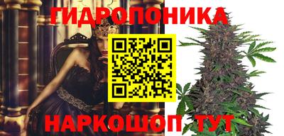 таблы Лесосибирск