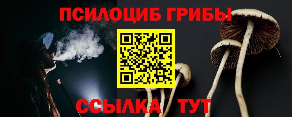 Тимашёвск  Псилоцибиновые грибы GOLDEN TEACHER  Вход с VPN 